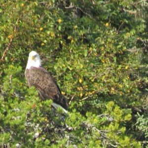Meet your Posher, Lorraine
